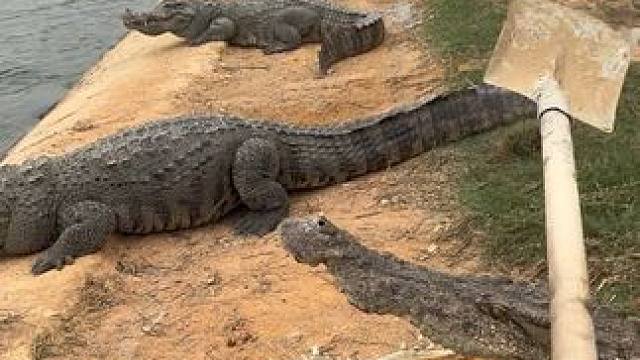 热爱运动是一种传统美德#非专业人士请勿模仿