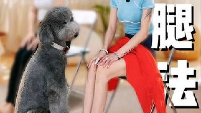 懒人的直腿法赶紧做起来吧！#女子塑形 #身材管理 #瑜伽普拉提