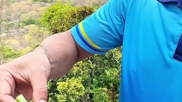 泰国牛杂赤身 #泰国牛肉刺身 #农村美食记录生活 #我的乡村生活 #泰国美食 #越南生活