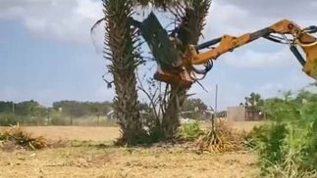 荒野修剪解压工作！ #强迫症看了很享受 #解压视频 #极度舒适 #树枝灌木丛修剪机 #神奇的闲鱼