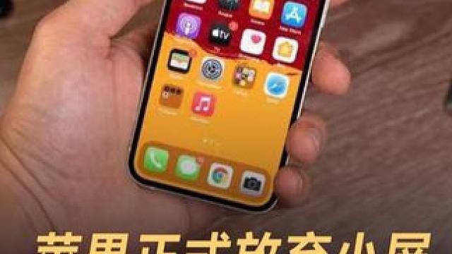 苹果正式放弃小屏，iPhone mini绝版 #苹果  #iPhonemini  #小屏手机  #安