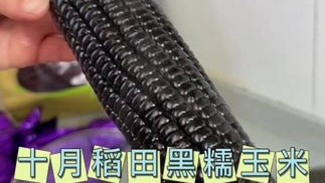#黑糯玉米 富含花青素的头茬黑糯玉米，又甜又糯真的巨好吃！#软糯香甜#十月稻田#粗粮