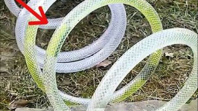 躺着学技巧#生活小妙招 #实用小技巧 #小妙招大作用 #创意发明 #小技巧