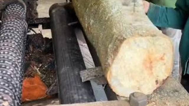 我发布了一个新视频，快来围观吧！