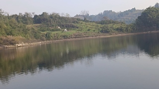 烟花落尽，孤芳自赏。