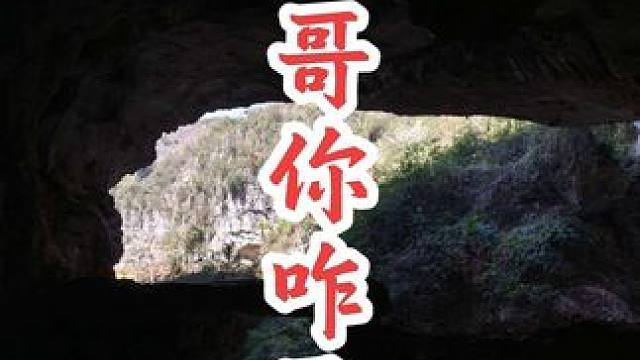 春天来了，五哥也出来了，大家出门要随时注意脚下了！#蛇  #万万没想到 #