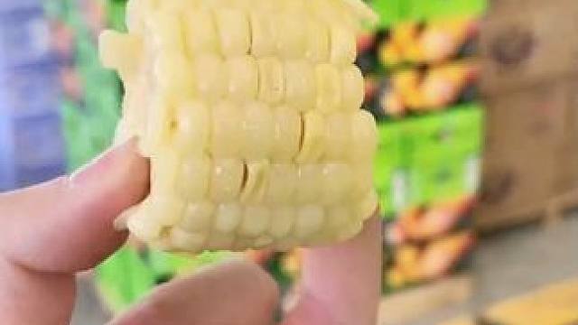 【沙漠种植】牧场基地种植有机黄糯玉米200g/穗 5穗装 便捷携带#好吃到停不下来 #玉米 #糯玉米