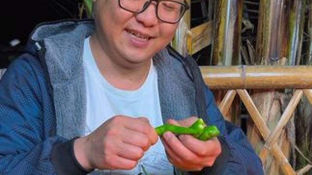 敢说这样的薄皮辣椒你不喜欢吃！ #农村美食 #来一口乡间春分的味道 #大山里的味道