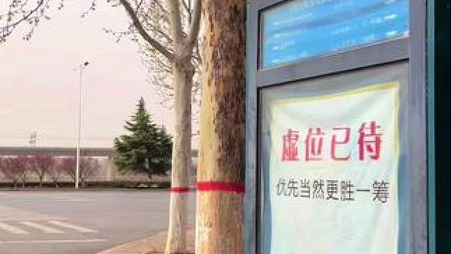 樱花长廊攻略 #原创视频 #记录生活 #阳春三月春暖花开 #河南刚哥