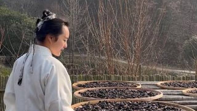 春生夏长秋收冬藏，这个春天一起健康地向阳而生吧！ #仙人余粮 #九蒸九晒黄精 #滋补佳品 #食疗养生