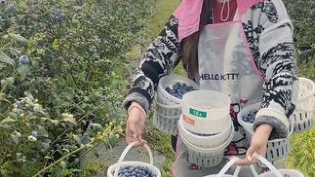 一上午的劳动成果