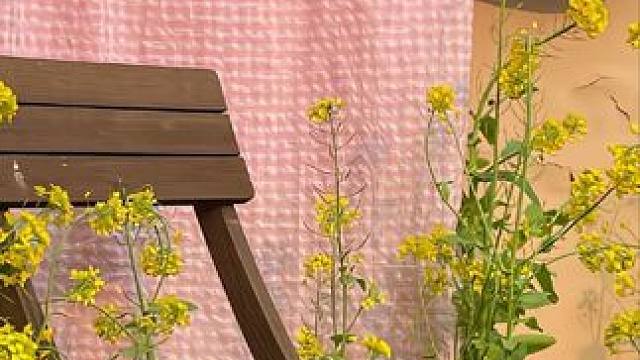 省钱攻略，五合一防晒衣，帽子手套袖套衣服口罩一件搞定整个夏天。#防晒衣#防晒 #夏季必备 #出门必备