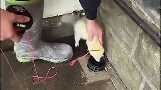 施工小技巧#施工 #装修 #实用小技巧 #神操作 #建筑施工