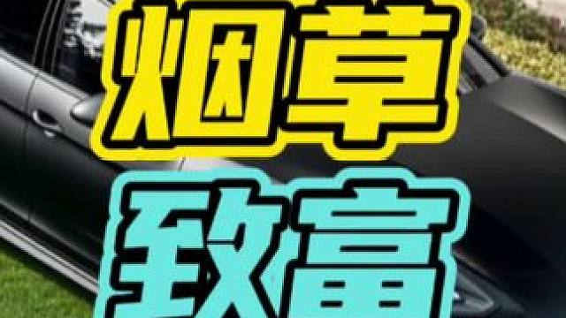 为什么开烟酒店的老板都开各种豪车！#豪车 #烟酒店 #赚钱