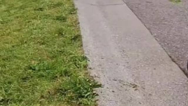 我发布了一个新视频，快来围观吧！