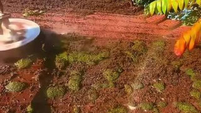 我发布了一个新视频，快来围观吧！