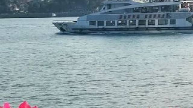 三角梅红似火，鼓浪屿风景美丽！#鼓浪屿。