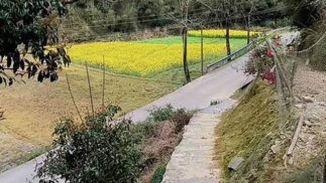 人到中年，最大的幸福莫过于，有人等，有家回，老屋还在，父母健康，年少不知父母恩，懂时已是中年人！#乡