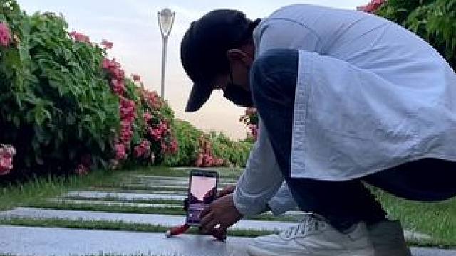 看到花开的小路试试这样拍太美了#手机摄影 #拍花技巧 #春暖花开奔你而来 #住进风景里 #治愈系风景