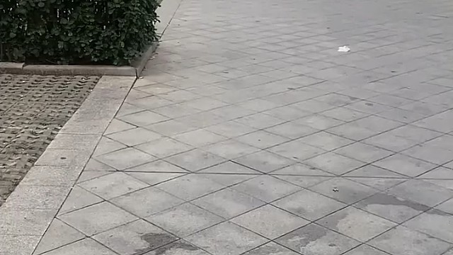 给挡一下不行吗？