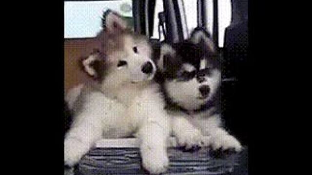 这谁不心动啊，这对打工人来说简直太棒了！#戴上手串珠事皆宜 #四季知食  #卷什么都不如卷春天#闭眼