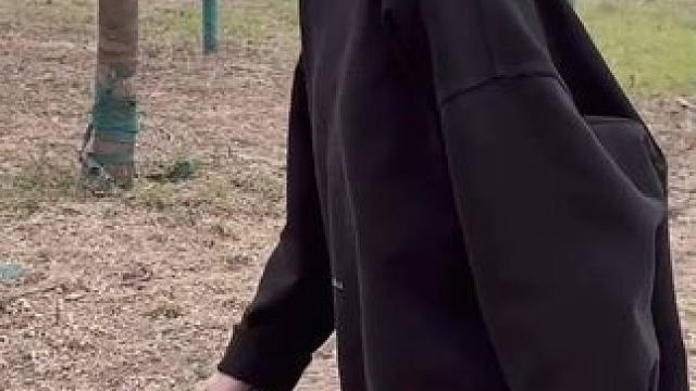 找到了一颗发财树