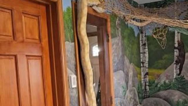 我发布了一个新视频，快来围观吧！