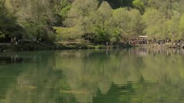 心守清明，轻踏春晖，趁春阳正好，怀暖意，向光行。#本溪水洞 #清明节