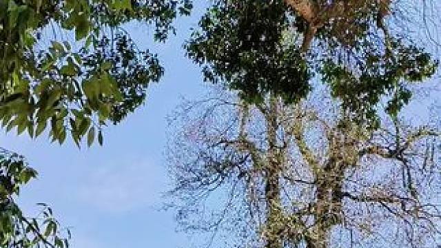 有人留守故乡，有人远赴他乡，有人呆在原地，有人困在他乡！长大后才发现，人生所追求的快乐，其实一开始就