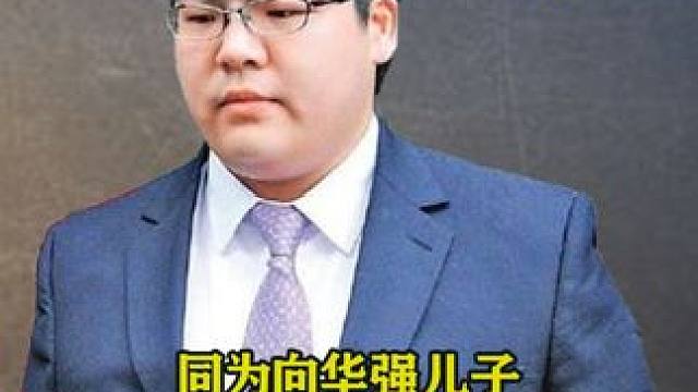 向佑：同为向华强儿子，为何与向佐差距这么大！ #向华强 #向佐 #向佑 #娱乐八卦