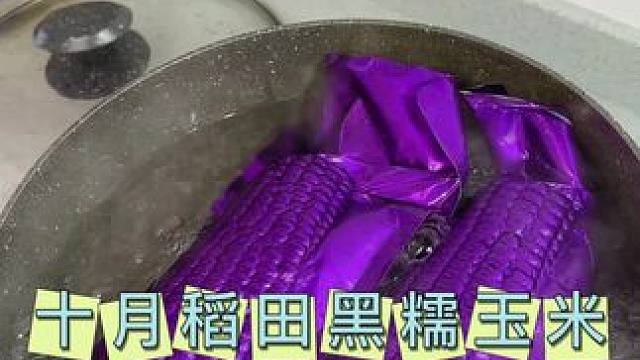 #黑糯玉米 富含花青素的头茬黑糯玉米，又甜又糯真的巨好吃！#软糯香甜#十月稻田#粗粮