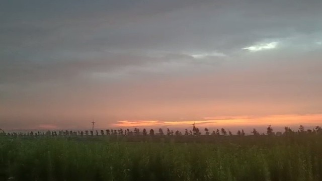 今天刚刚注册的新号，你是神马时候有的