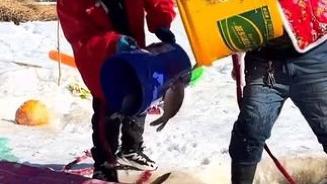 #户外捕鱼 #好多鱼