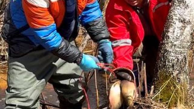 #户外捕鱼 #好多鱼