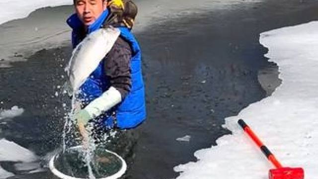 #户外捕鱼