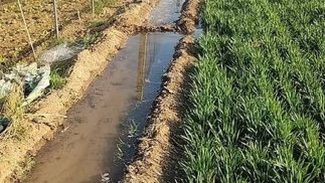 我发布了一个新视频，快来围观吧！