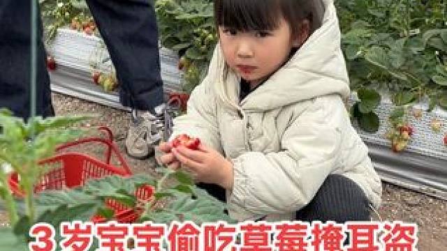 3岁宝宝摘草莓使劲往嘴里塞，怕被老板发现把自己眼睛捂住，小脑瓜没谁了！#越养越上头的人类幼崽