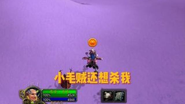 扫膛腿，小毛贼有点自不量力 #魔兽世界 #我的游戏日常 #魔兽世界怀旧服