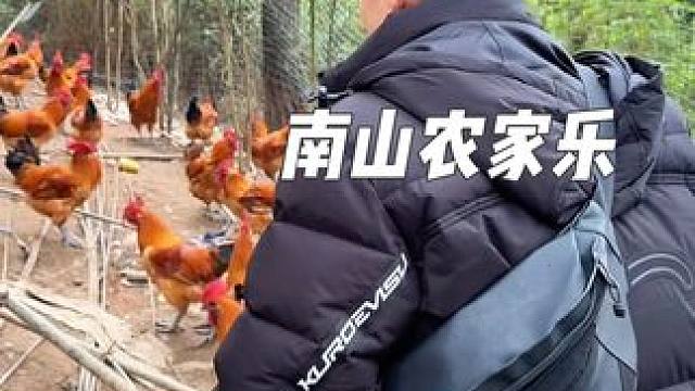 吃的娱乐很多，还有表演的农家乐 #周末去哪玩 #春日好食光 #同城美食 #同城好店推荐