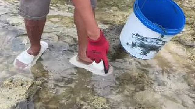 抓螃蟹 #我的农村生活 #把家乡的味道分享给大家 #舌尖上的味道 #农村美食记录生活 #东南亚美食