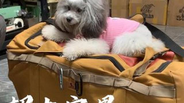 加大容量收纳包 户外露营自驾旅行，东西多装备多不好收纳，这个加大容量收纳包适合你，轻松收纳所有露营装