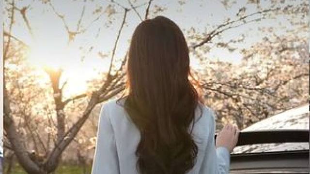 这个春天，来一场露营吧！邂逅樱花树下的浪漫与科技 。和蔚来EC7一起驶入春光，让每一次停留都成为风景