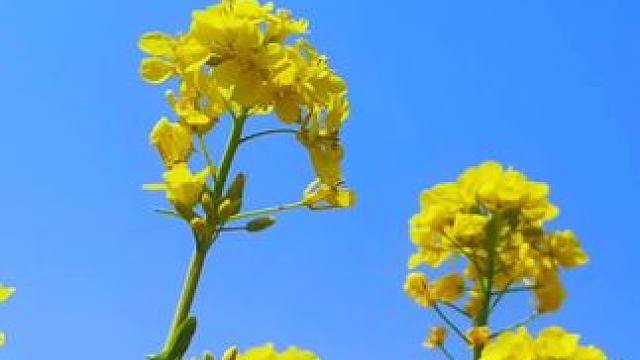 #风景如画的地方