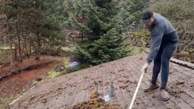 极度解压家庭清洁工作！ #解压视频 #强迫症看了很享受 #极度舒适 #减压视频 #树枝灌木丛修剪机