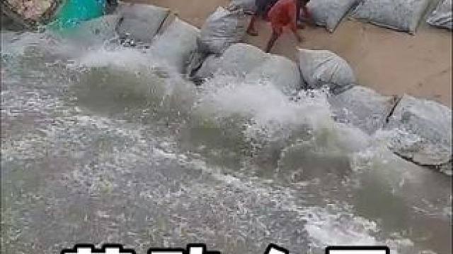 #神操作 #劳动人民最光荣 #生活小妙招 #干活我是认真的 #劳动人民的智慧