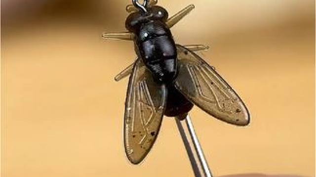 一比一复刻苍蝇造型，没有那个鱼不爱吃苍蝇的#飞蝇钩 #苍蝇钩 #路亚马口 #路亚白条 #路亚微物