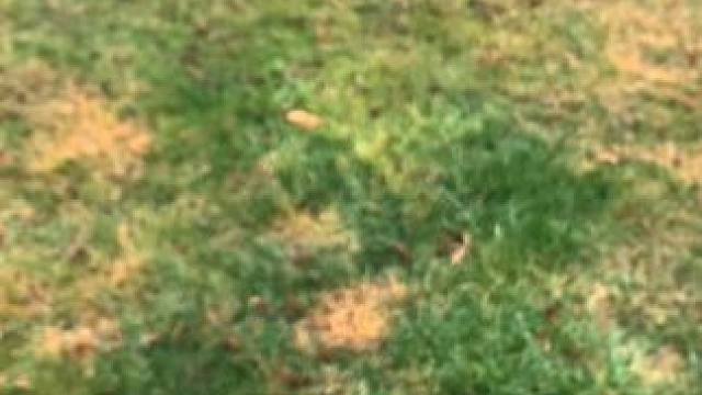 最后一把没有男生会拒绝~ #有男生会拒绝这个玩具吗 #酷炫