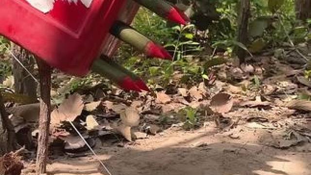 陷阱装置艺术 #内容启发搜索 #这手艺如今很少见了快失传了 #这样的老手艺现在很少见了 #野外建造 