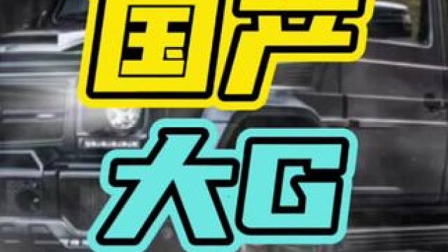 20万的价格300万的排面！#奔驰大G #国产车