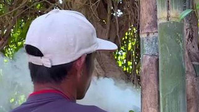 我发布了一个新视频，快来围观吧！